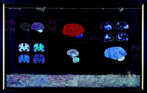 Marjorie Taylor Quilted Brains, 2006
