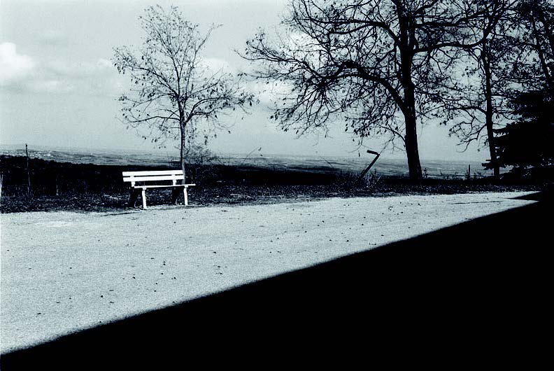 Ηρακλής Παπαϊωάννου, Αύλιος χώρος, 2003***