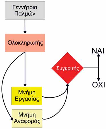 Εικόνα 2 Η υπόθεση του «εσωτερικού ρολογιού».