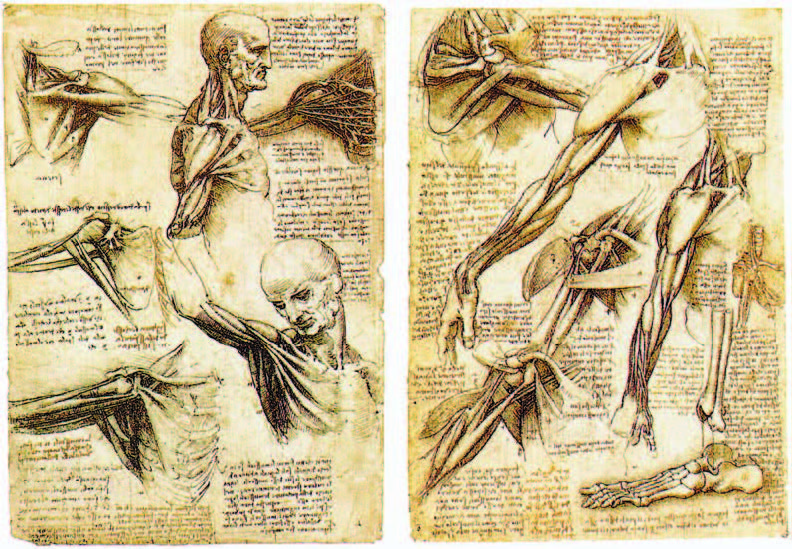 Leonardo Da Vinci, 1452-1519