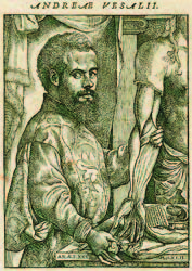 Andreas Vesalius, 1514-1564