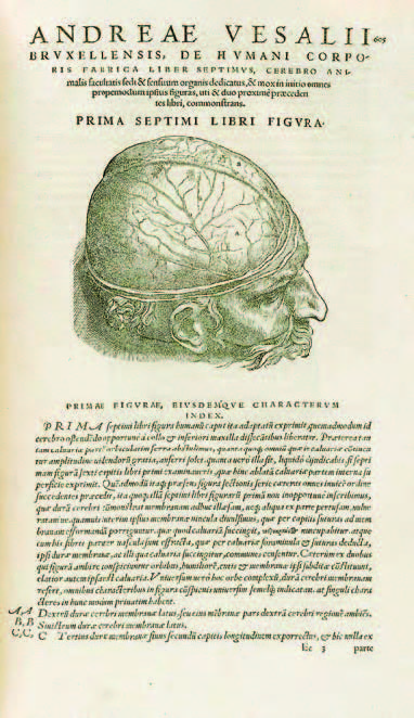 Andreas Vesalius, De Humani Corporis Fabrica