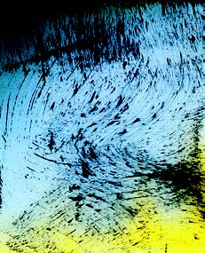 Hans Hartung, 1980 